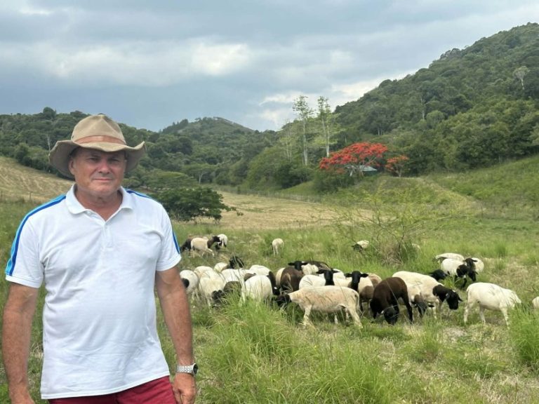 [MAGAZINE] Angelo Devaud, l’homme qui compte les moutons