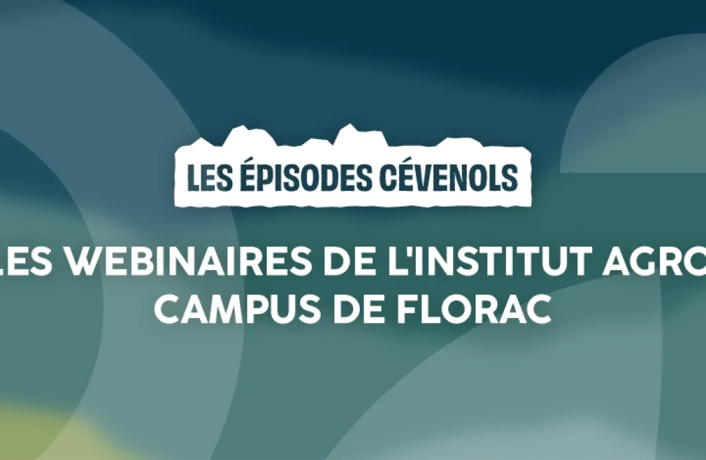 Webconférence – Teen series : genre, sexualité et séries pour ados