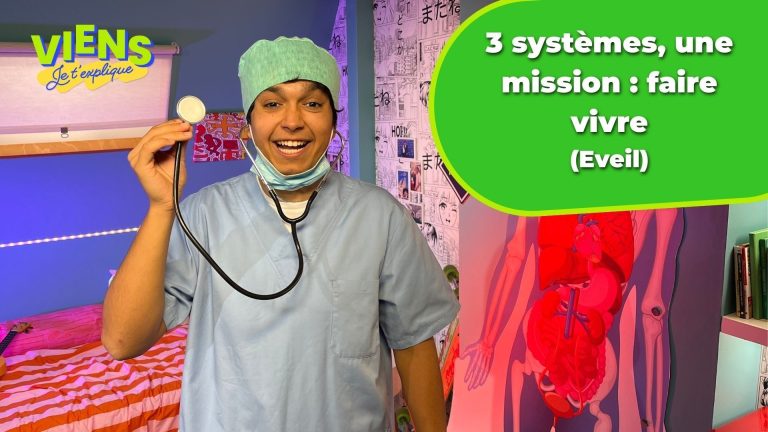 Trois systèmes essentiels pour la survie du corps : sciences et quiz dans Viens, je t'explique