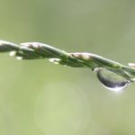 Page d'accueil Yahoo news