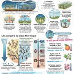 Une menace prise au sérieux par les arboriculteurs - Tarn et Garonne - Le Petit Journal