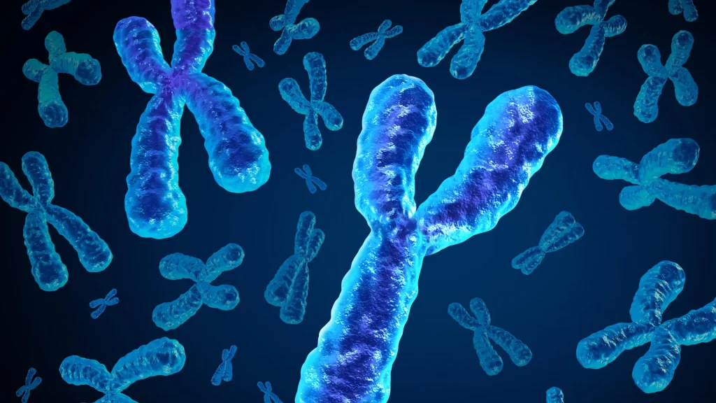 Les hommes perdent un chromosome clé avec l'âge, ce qui pourrait être mortel