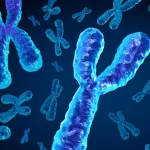 Les hommes perdent un chromosome clé avec l'âge, ce qui pourrait être mortel
