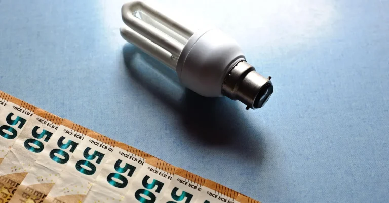 Factures d’énergie : les actions des foyers wallons et bruxellois pour réduire leurs coûts