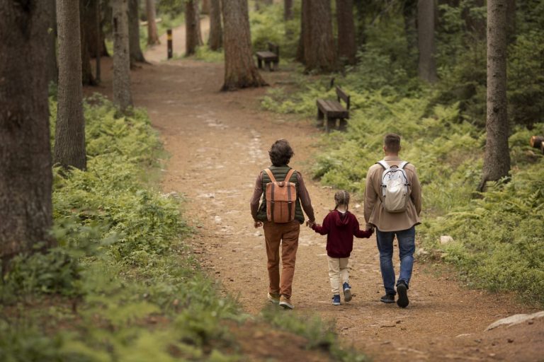 Nature : Une semaine pour explorer la forêt, ses trésors et ses métiers - Participez !