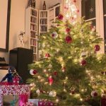 Sapins recyclés : une seconde vie à Houilles après les fêtes