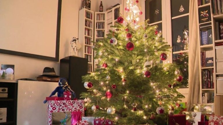 Sapins recyclés : une seconde vie à Houilles après les fêtes