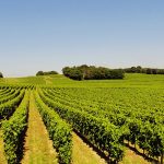 Terclim : 16e Congrès international du terroir à l'ESA, École supérieure des agricultures