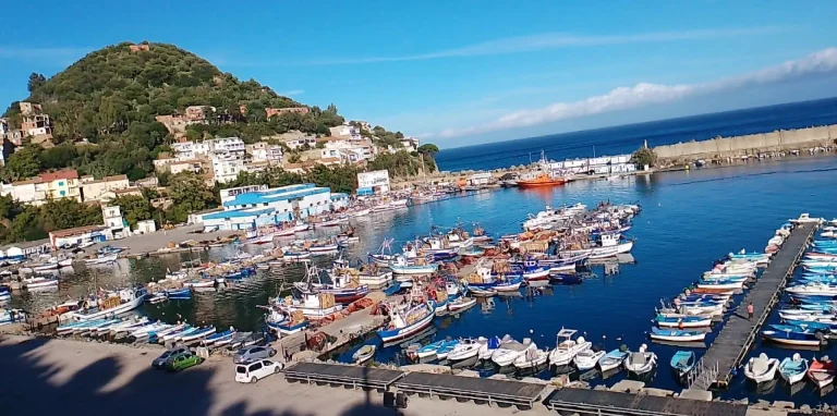 port-plaisisance-pêche-Algerie