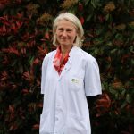 Langon : le Centre hospitalier Sud-Gironde renforce son offre de soins pour le diabète