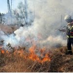 Brûlage dirigé : les pompiers lancent une opération inédite pour maîtriser le feu