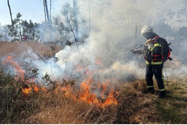 Brûlage dirigé : les pompiers lancent une opération inédite pour maîtriser le feu