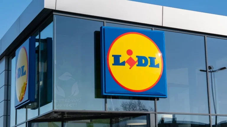 Lidl : cette robe portefeuille à moins de 7 euros sera tendance au printemps 2026