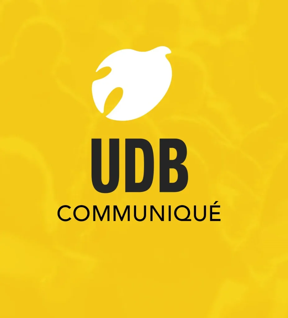 Communiqué – Municipales 2026 : l’UDB engagée dans les 5 départements de Bretagne - UDB