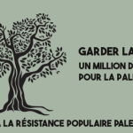 Un million d'oliviers pour la Palestine : appel à soutien pour la reforestation