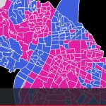 Doucet ou Aulas : les résultats des votes de vos voisins à Lyon