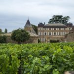 "Ça m'inquiète" : en Bourgogne, les vignerons en alerte face à l'arrivée du gel, certains attendent "10 à 15% de dégâts sur le domaine"