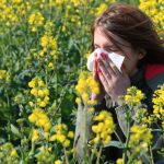 Alerte rouge : le pollen continue de poser des risques pour la santé.