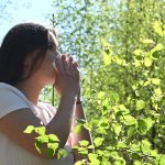Allergie aux pollens : indice de pollen élevé dans plusieurs départements de la région Centre-Val de Loire, les bons réflexes à avoir