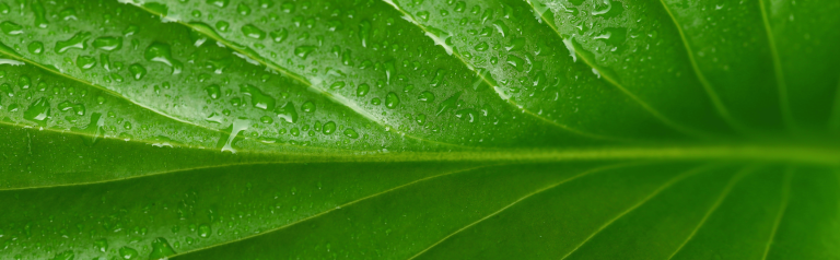 Élimination définitive des boues d'épuration : enjeux et méthodes