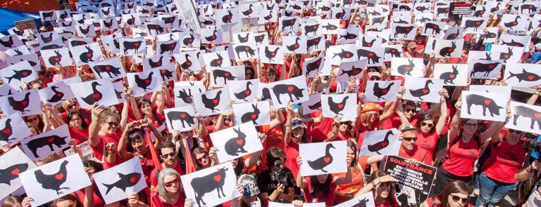 Manifestation pour la fermeture des abattoirs : des milliers de participants mobilisés