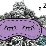 CryoPRISM : un nouvel outil pour observer la machinerie cellulaire en environnement naturel