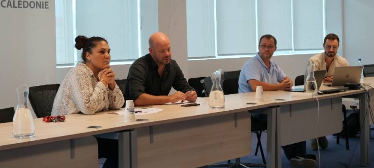 Emploi.nc : une plateforme unique pour l’emploi en Nouvelle-Calédonie