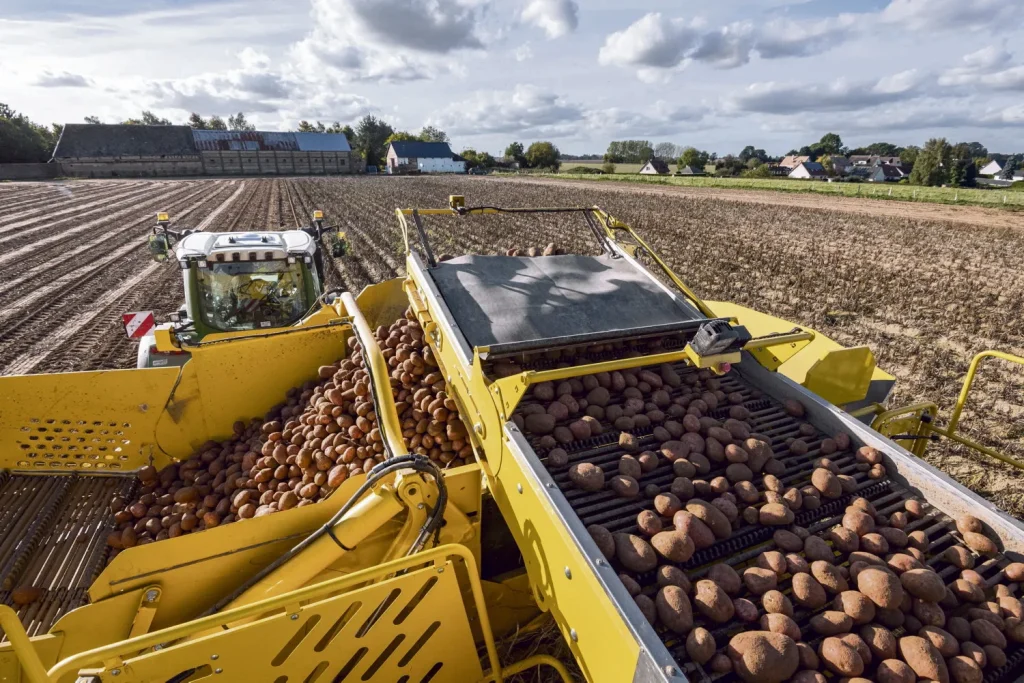 Alertes de l'Anses : les Français exposés au cadmium dans leur alimentation