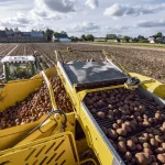Alertes de l'Anses : les Français exposés au cadmium dans leur alimentation