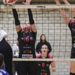 Volley-ball. Nationale 3 féminine : Ensisheim souhaite se mettre à l'abri, l'AS Vallée de la Sauer veut garder le rythme