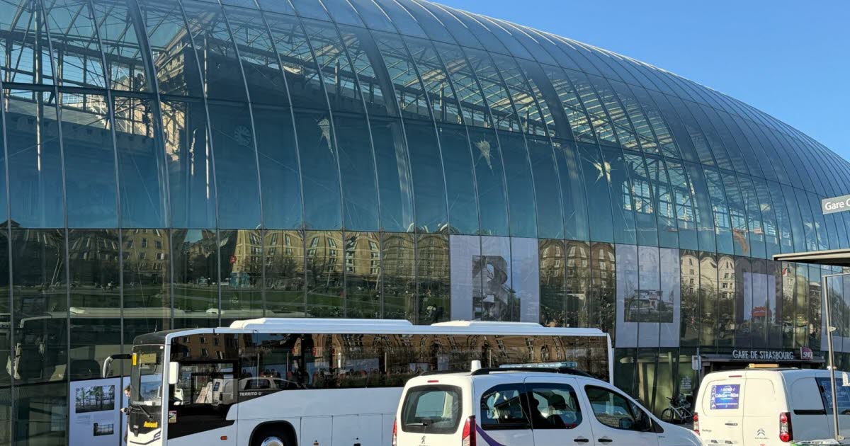Strasbourg : un jeune homme gravement blessé après avoir été percuté par un bus en fuyant un contrôle