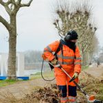 Digoin. Entre taille, élagage et planification… C’est l’heure du grand nettoyage