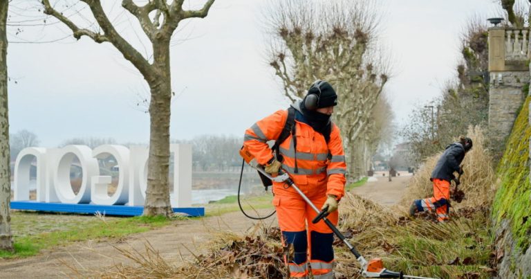 Digoin. Entre taille, élagage et planification… C’est l’heure du grand nettoyage
