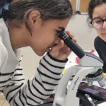 Sélestat : le collège Beatus ouvre une section dédiée aux passionnés de sciences