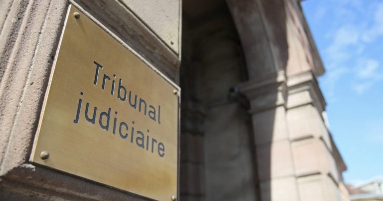 Mulhouse : 12 mois ferme pour un Haut-Rhinois, consommateur de poupées “Shein” et “AliExpress”