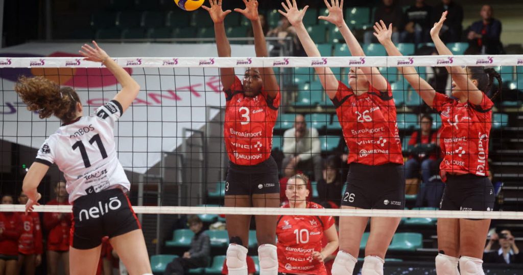 Volley-ball. Entraîneur suspendu, exclusion des playoffs... Prochain adversaire du Volley Mulhouse Alsace, Saint-Dié est dans la tourmente