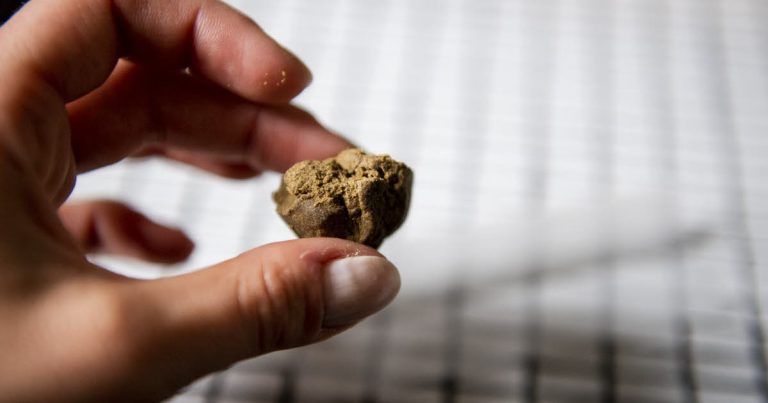 Roanne : un mineur arrêté en possession de 91 grammes de cannabis.