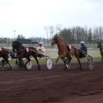 Courses hippiques : 121 chevaux prêts pour 9 courses sur la ligne de départ