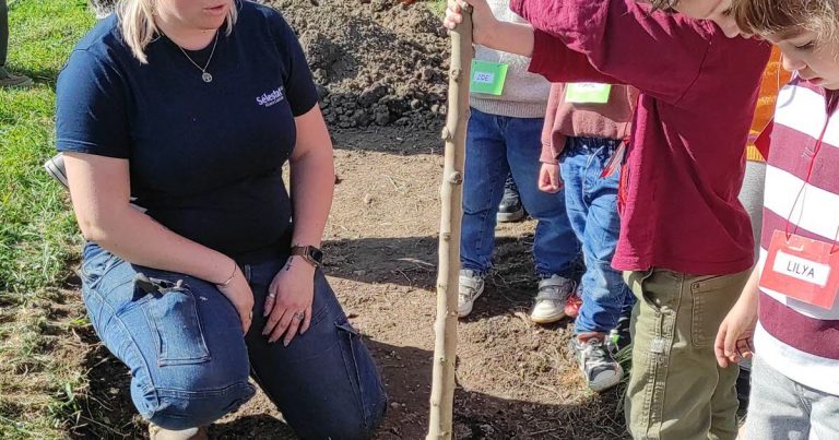 Sélestat : des écoliers participent à la plantation d'arbres fruitiers