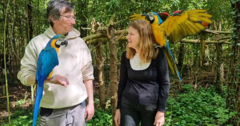 Drôme : Perquisition matinale et convocations dans le conflit entre le Parc des perroquets et l'État