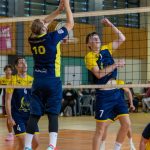 Volley-ball : l'ASVS masculin doit impérativement gagner des points pour rester en course