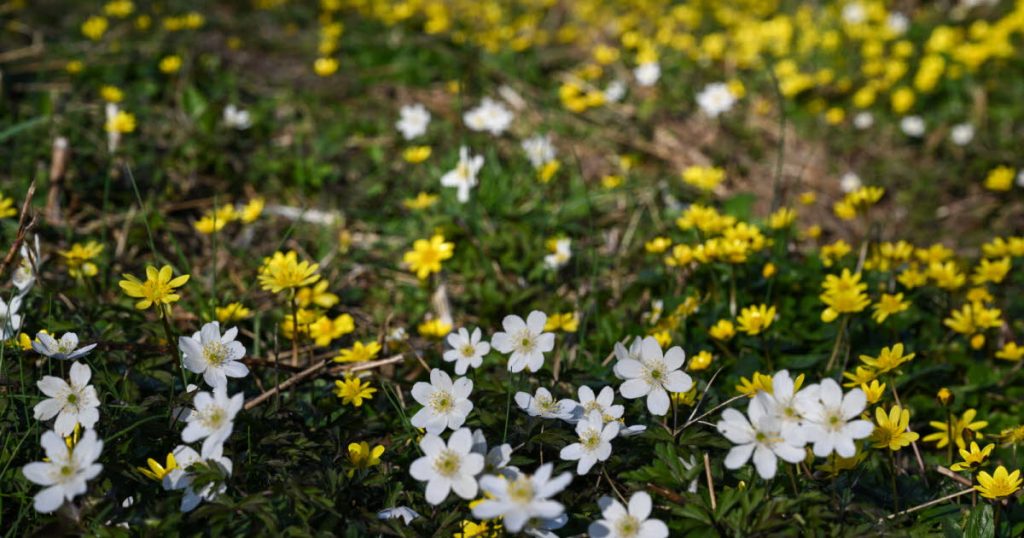 Météo : accalmie prévue dans le ciel de Saône-et-Loire ce vendredi