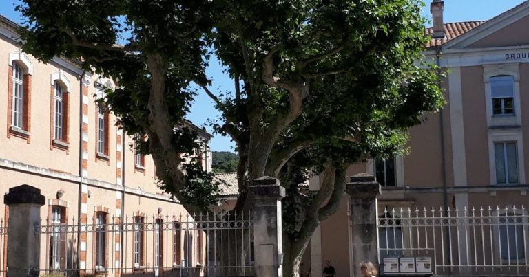 Vaison-la-Romaine : Rassemblement prévu devant l'école Jules-Ferry pour la fermeture de classe le 30 mars