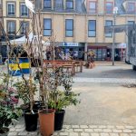 A L'Aigle, nous avons trouvé l'arbre qui cache Laforêt