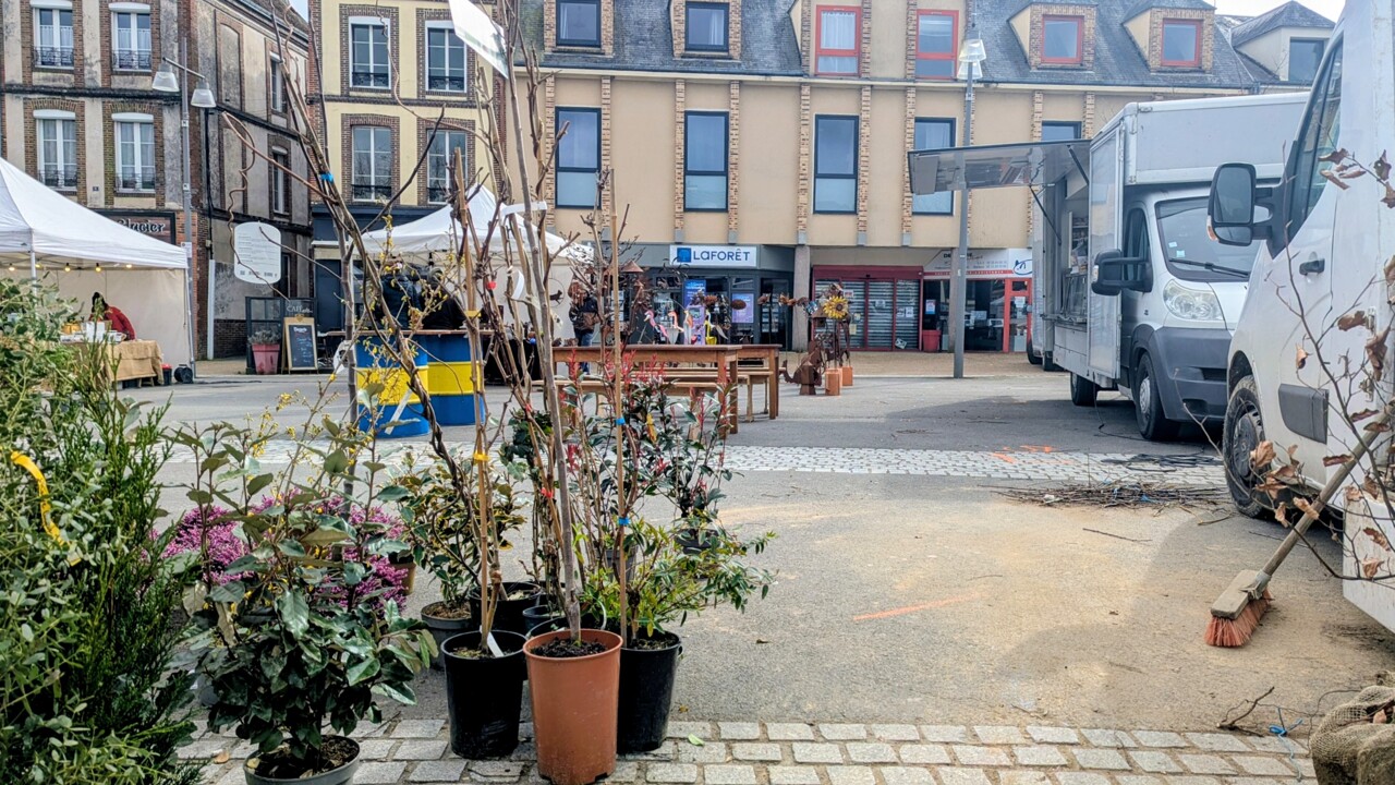 À L'Aigle, découverte de l'arbre dissimulant Laforêt.