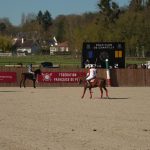 Inauguration du plus grand stade d'Arena Polo d'Europe à Chantilly : rapidité et spectacle au rendez-vous