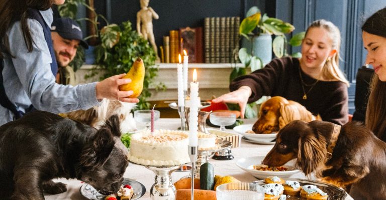 restaurant chien lyon