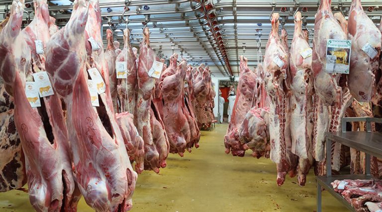 Le gestionnaire du Marché de Rungis condamné pour loyers impayés