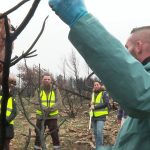 Une association forme des bénévoles pour secourir les animaux blessés par les incendies