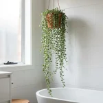 Salle de bain humide : cette plante grimpante et retombante prévient la pourriture des autres